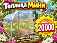 мини