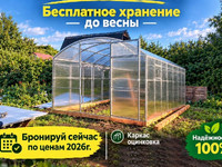 Прямостенка